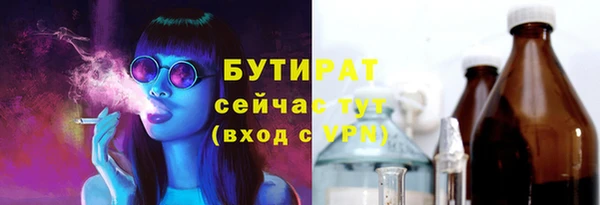 индика Майский