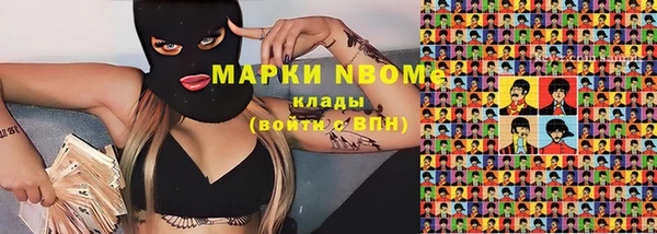 индика Майский