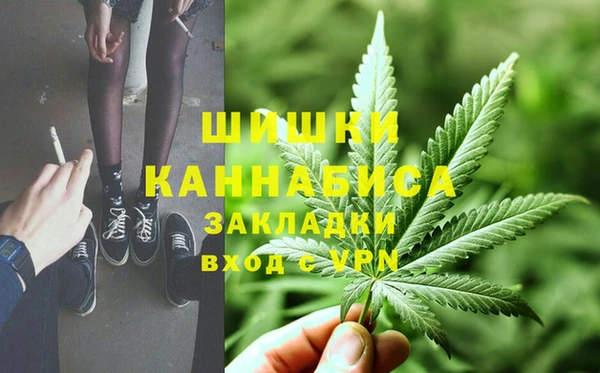 индика Майский