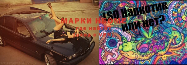 индика Майский