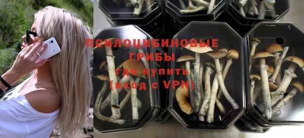 индика Майский