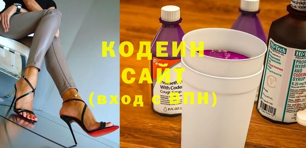 индика Майский