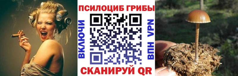 Псилоцибиновые грибы GOLDEN TEACHER  Пересвет 